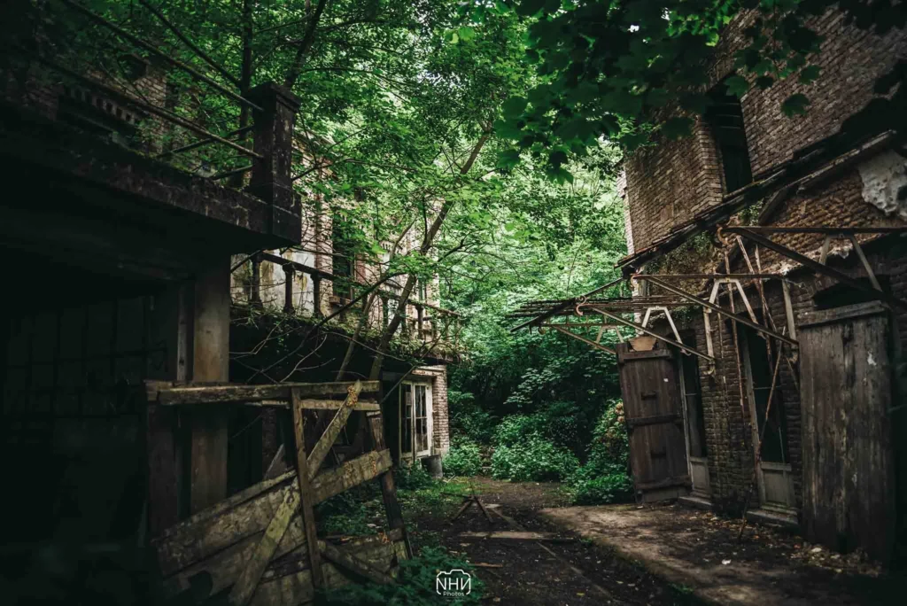Paysage — photographie de Nam Pesesse