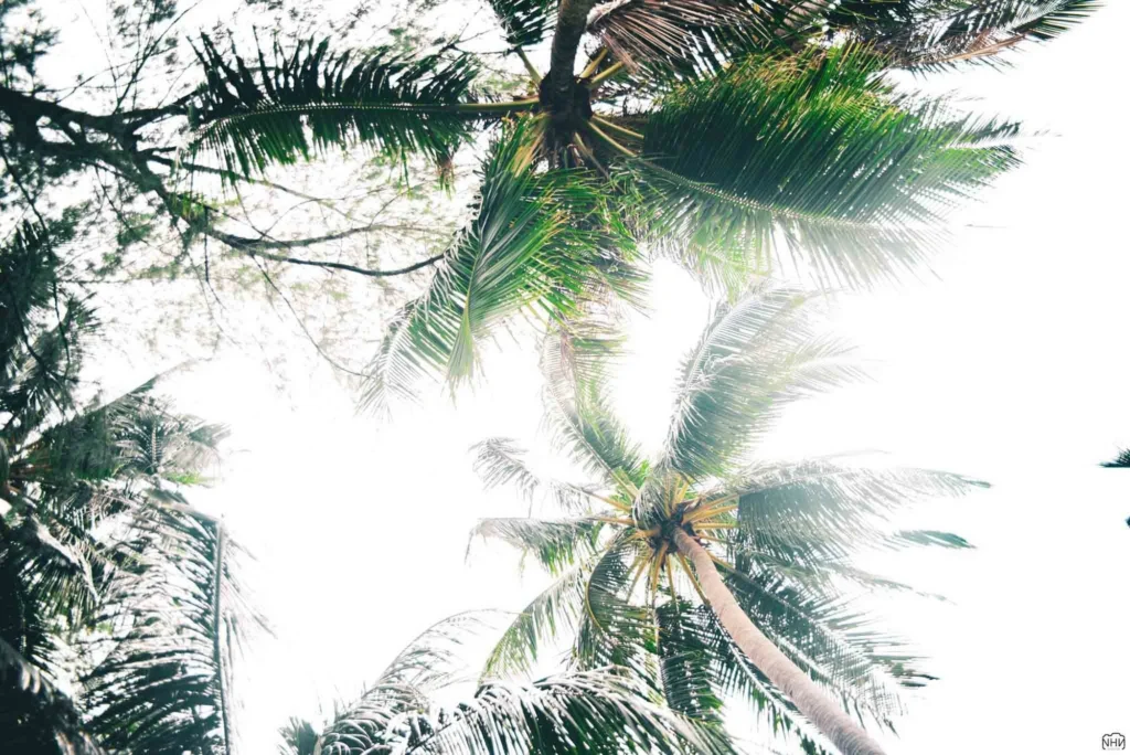 Paysage — photographie de Nam Pesesse