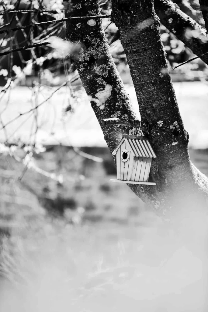 Paysage — photographie de Nam Pesesse
