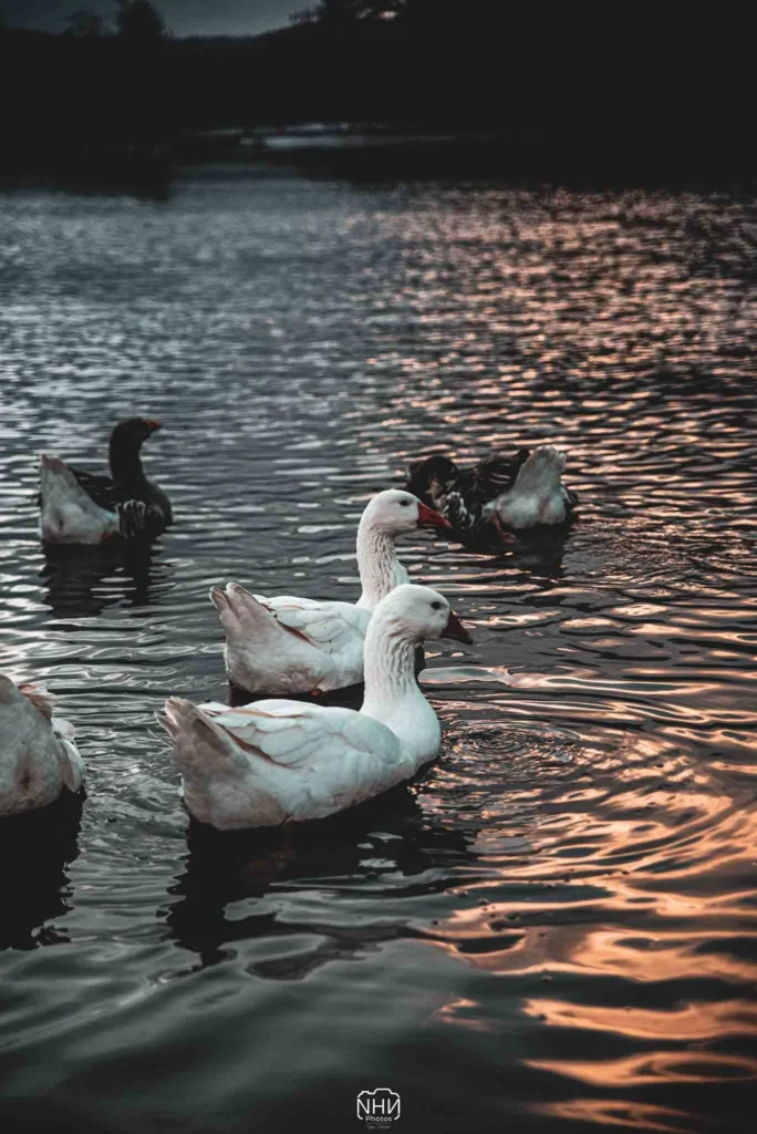 Paysage — photographie de Nam Pesesse