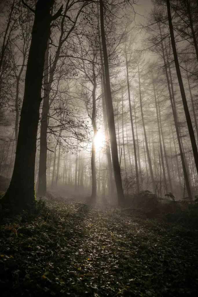 Paysage — photographie de Nam Pesesse