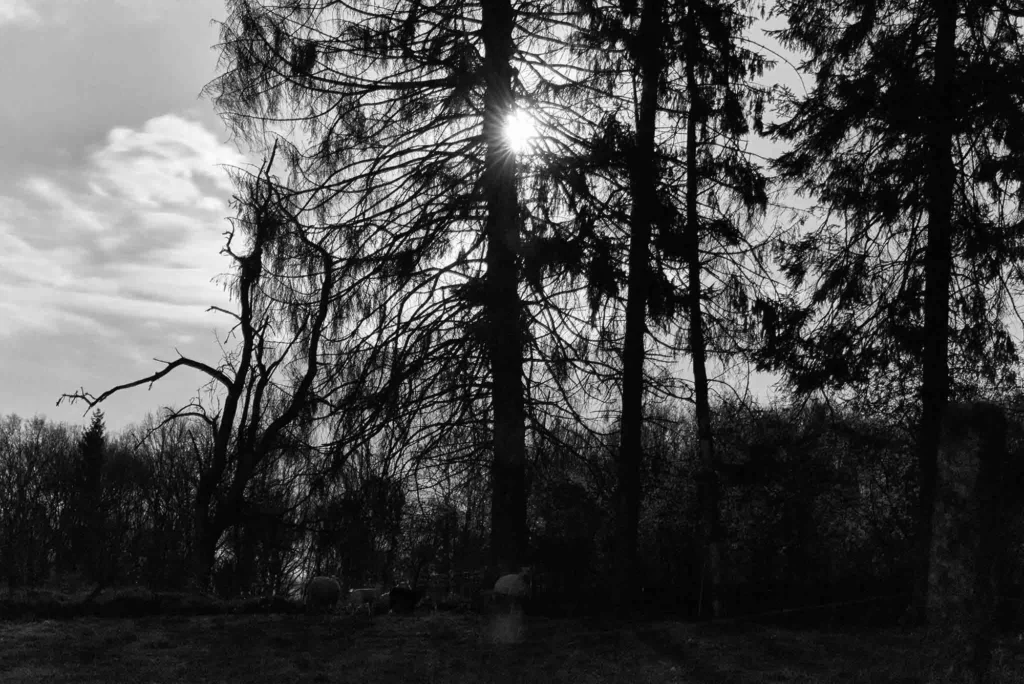 Paysage — photographie de Nam Pesesse