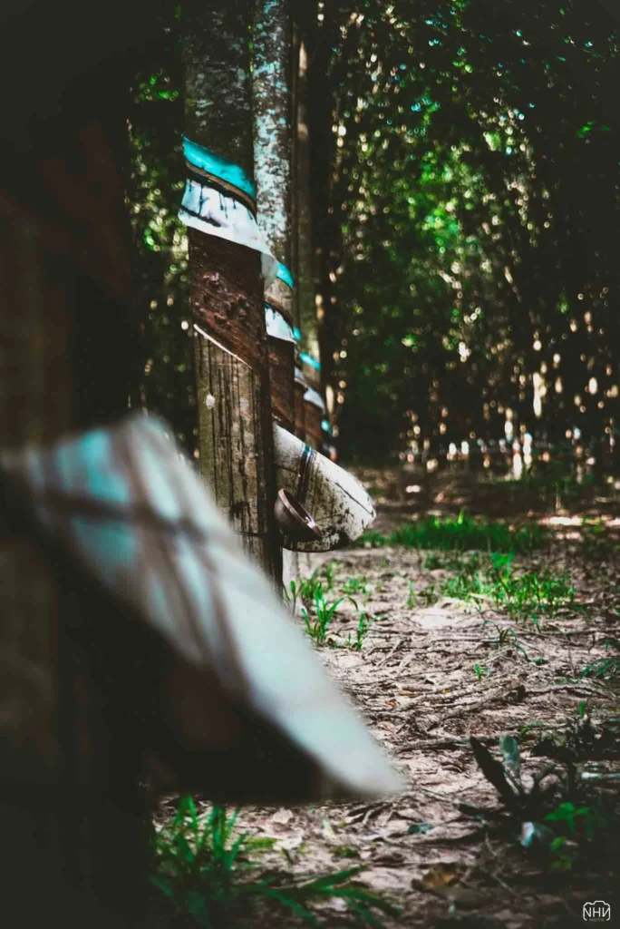 Paysage — photographie de Nam Pesesse