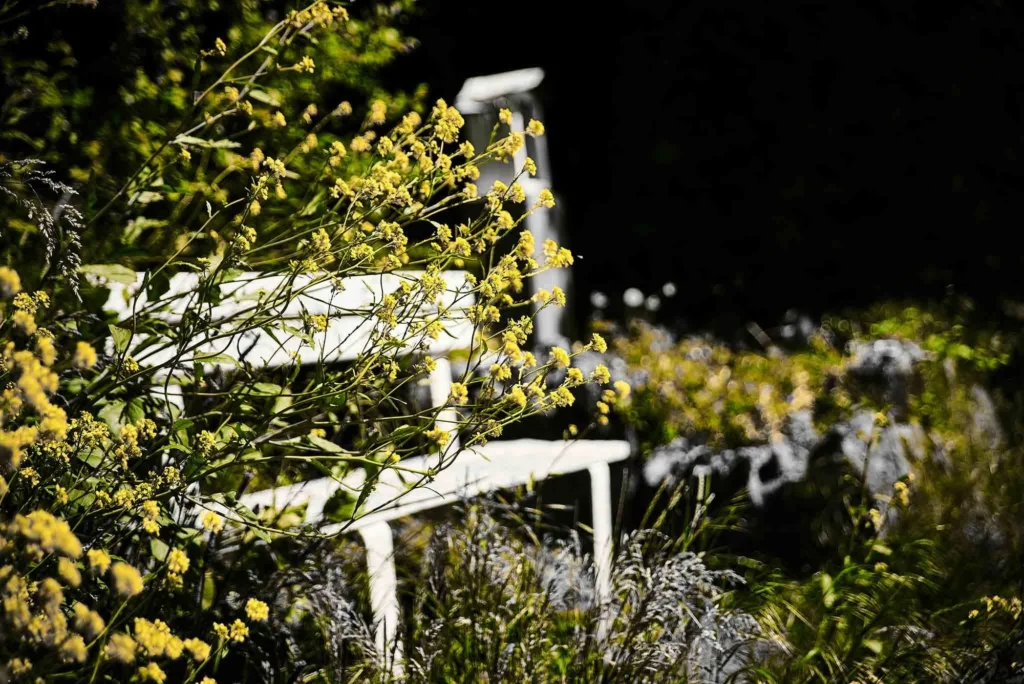 Paysage — photographie de Nam Pesesse