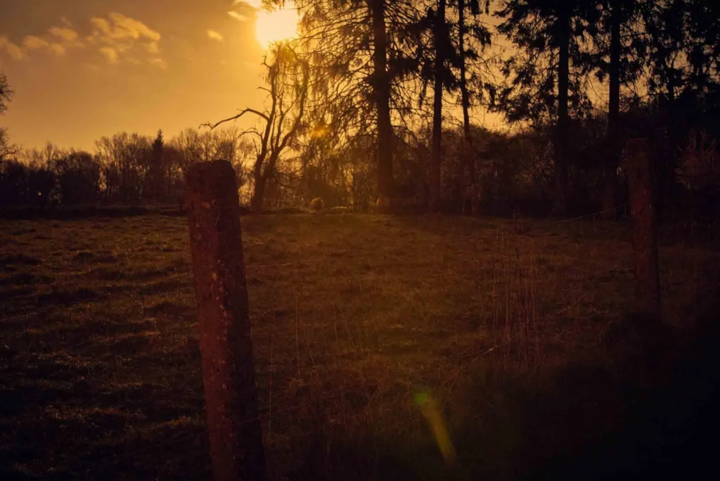 Paysage — photographie de Nam Pesesse