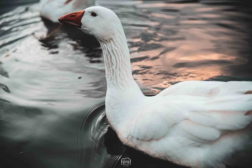 Paysage — photographie de Nam Pesesse